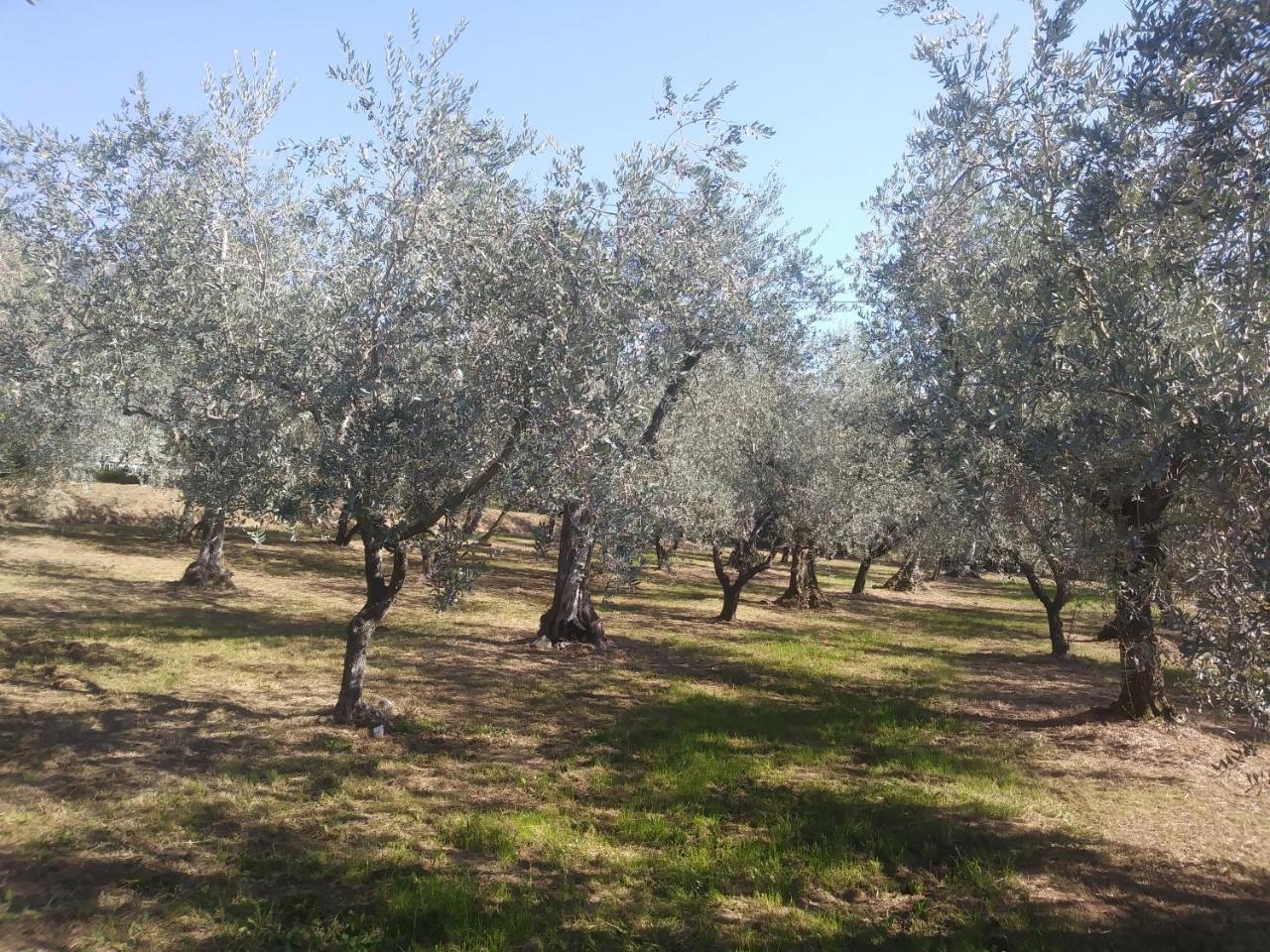 Ai Bastiani Villa Capannori Buitenkant foto