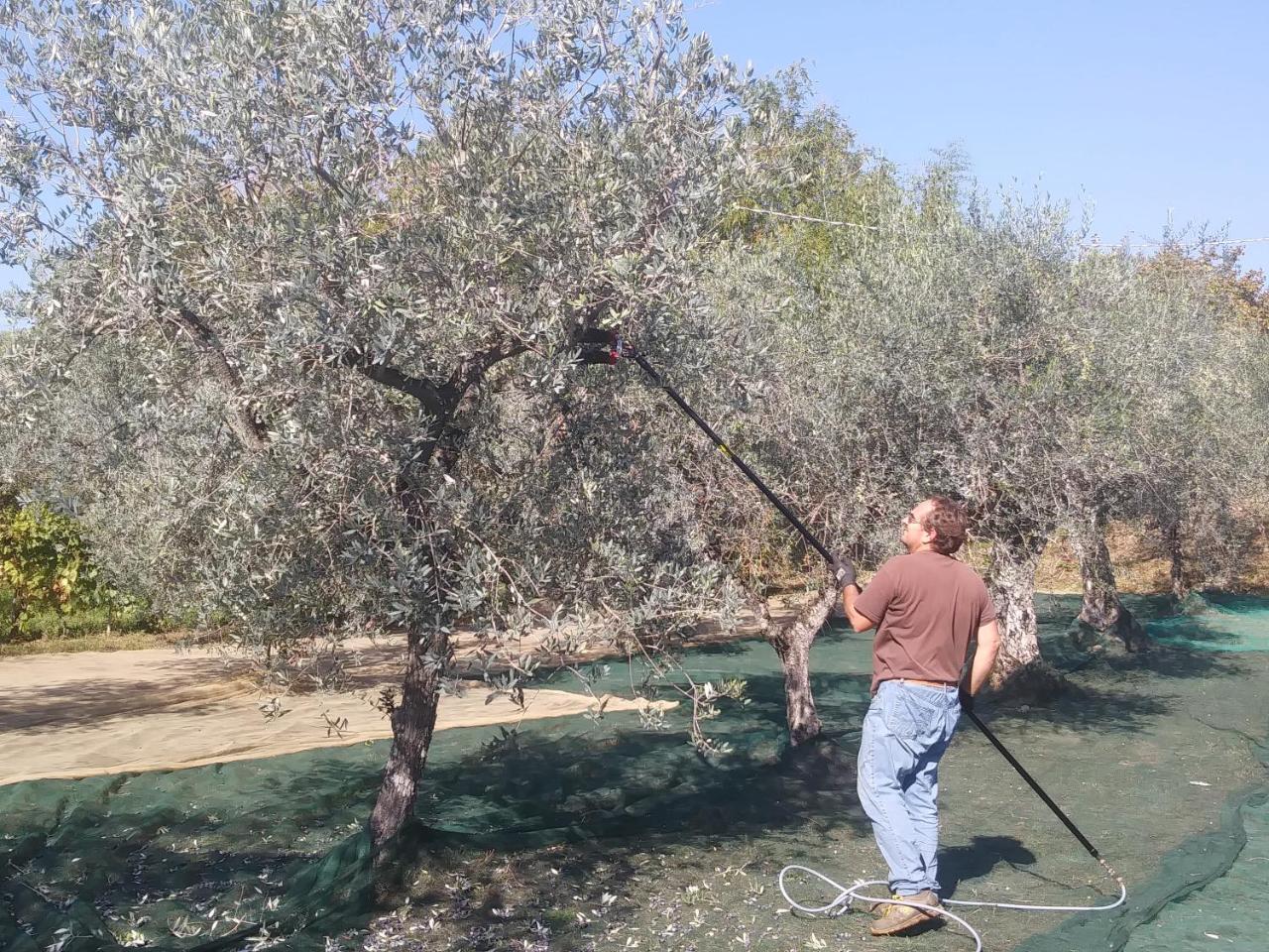 Ai Bastiani Villa Capannori Buitenkant foto